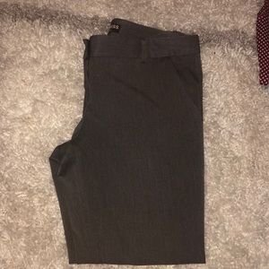 Express Columnist Dress Pants